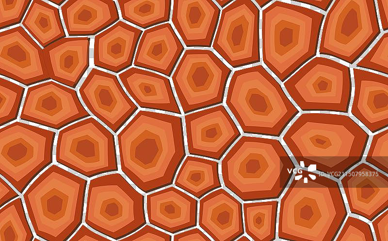 抽象现代龟壳无缝图案图片素材