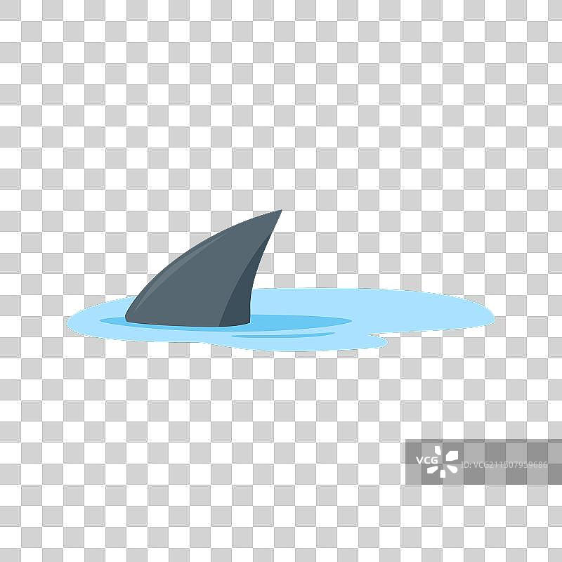 危险的海洋动物：鲨鱼鳍图片素材