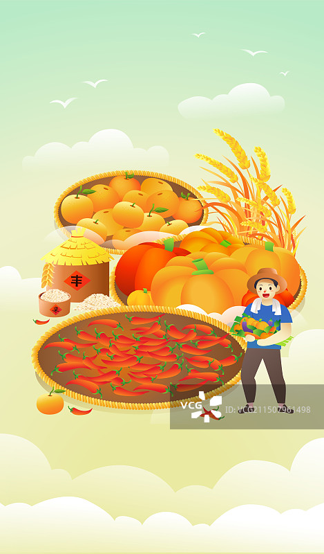 立秋节气习俗之晒秋矢量插画图片素材