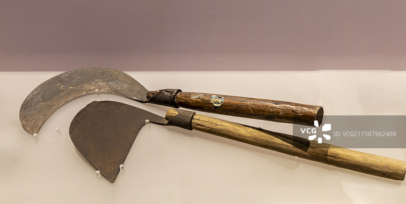 中国农业博物馆“中华农业文明陈列”展：茅镰（广东始兴罗坝镇角田乡）草镰（广西隆安城厢）图片素材