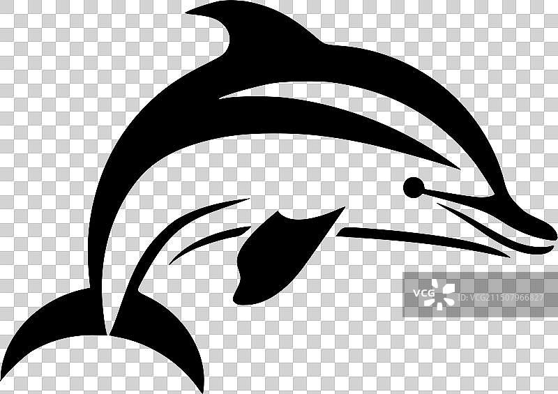 黑白海豚图片素材