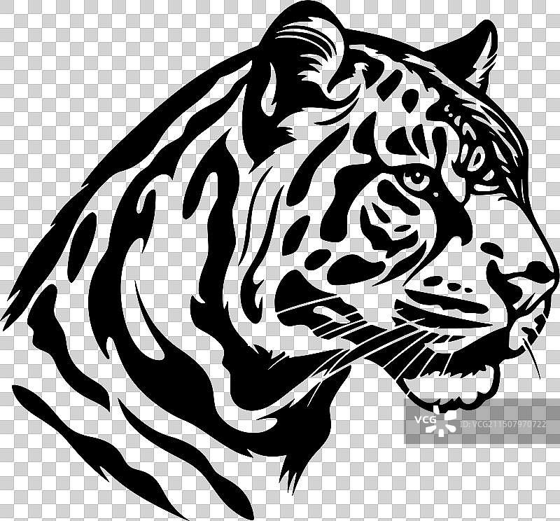 ocellot猫极简剪影图片素材