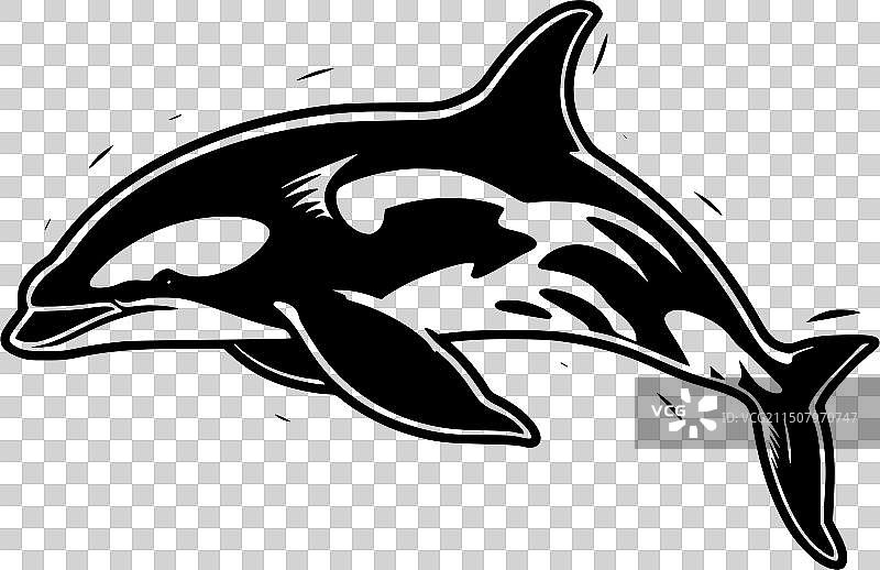 虎鲸-简约剪影图片素材