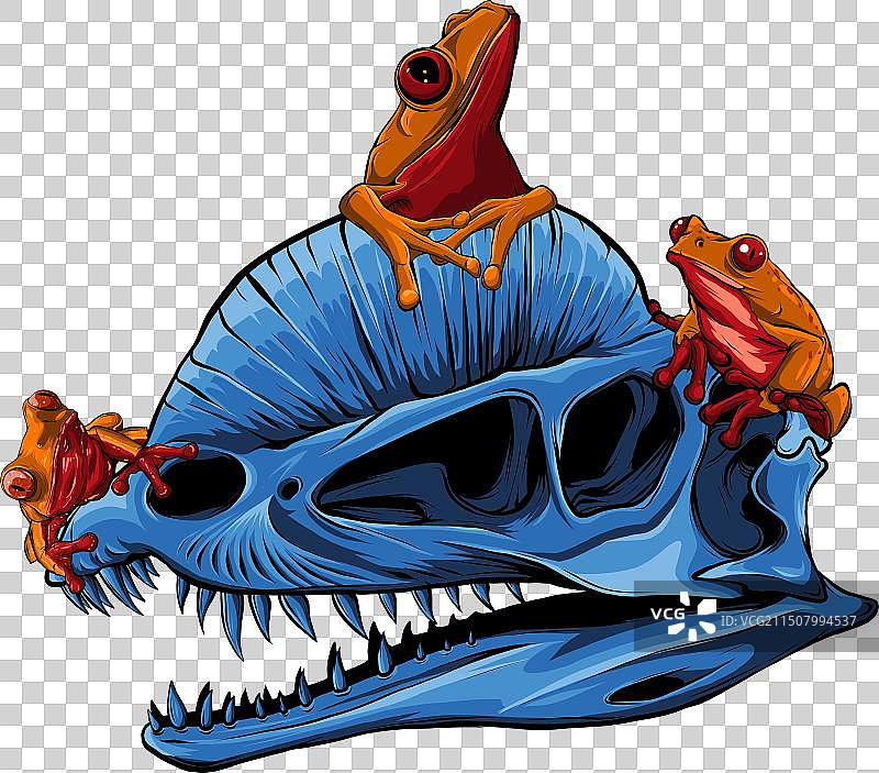 双冠龙恐龙头骨图片素材