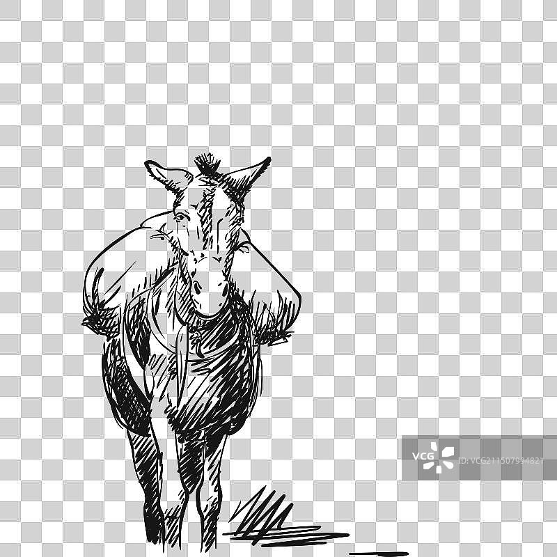 背负重物的骡子素描图片素材