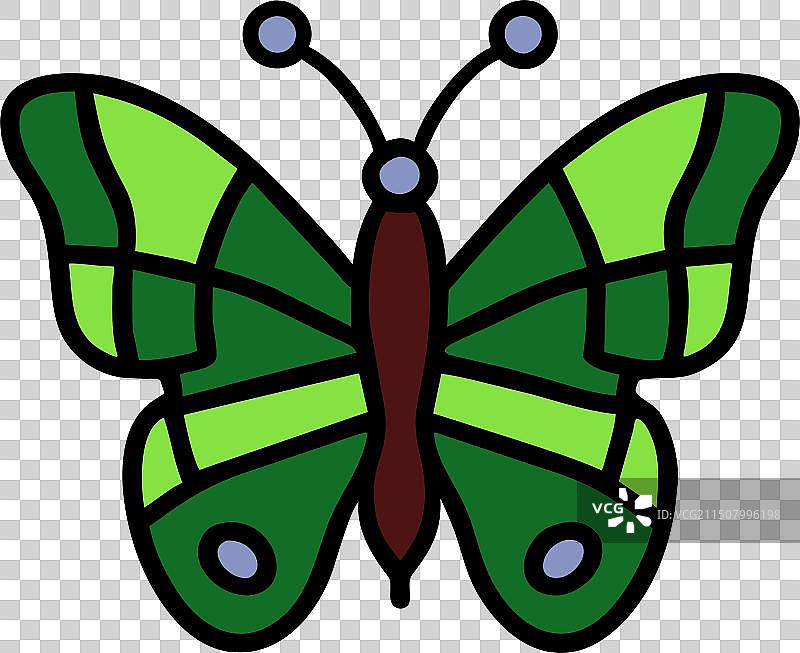 翠蛱蝶绿色图标图片素材