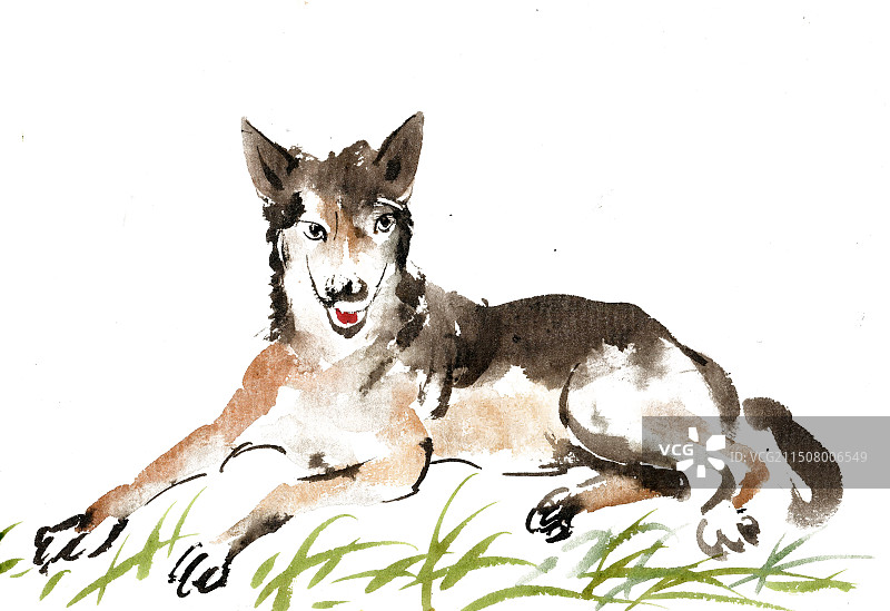 趴着的小狗图片素材