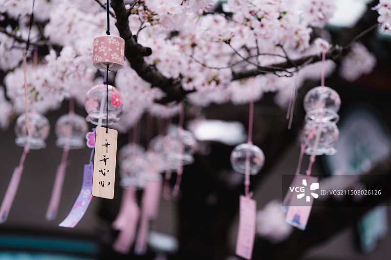 无锡市阳山桃花源景区图片素材