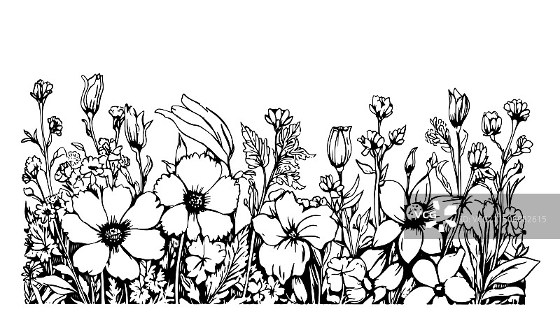 手绘野花田地边界图片素材