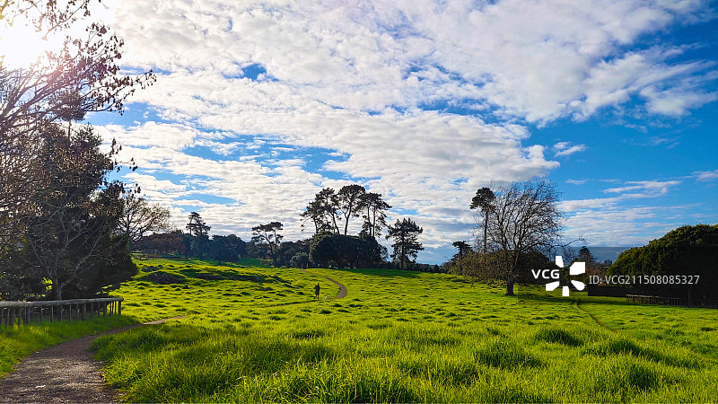 新西兰奥克兰肯威尔公园Cornwall Park小路图片素材