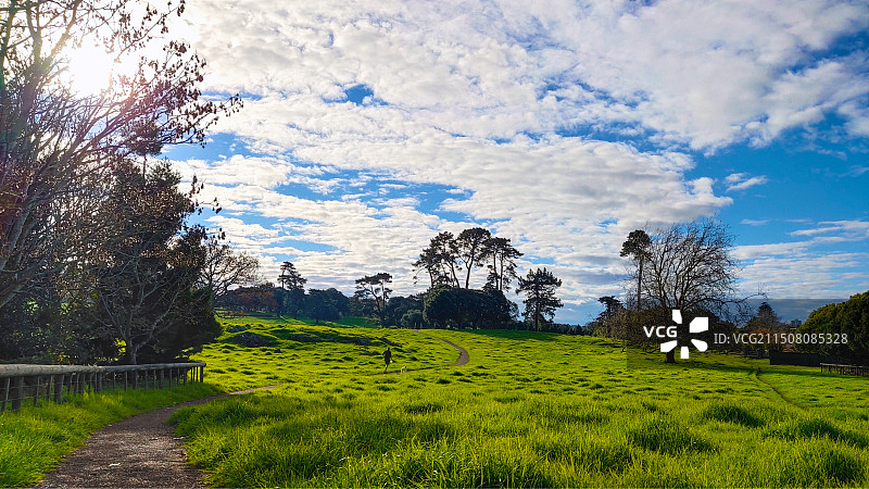 新西兰奥克兰肯威尔公园Cornwall Park小路图片素材