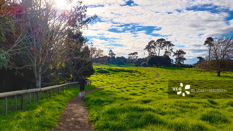 新西兰奥克兰肯威尔公园Cornwall Park小路图片素材