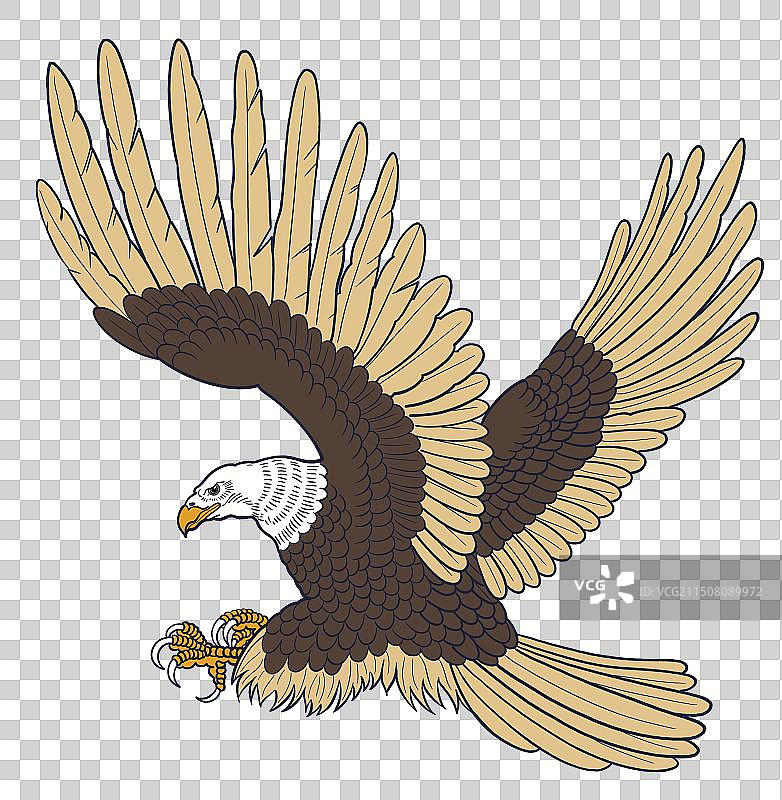 彩色 卡通画 插画手绘 动物 老鹰 大鹏 飞翔 雄鹰 飞鸟 鸟类 图像 元素 免扣图片素材