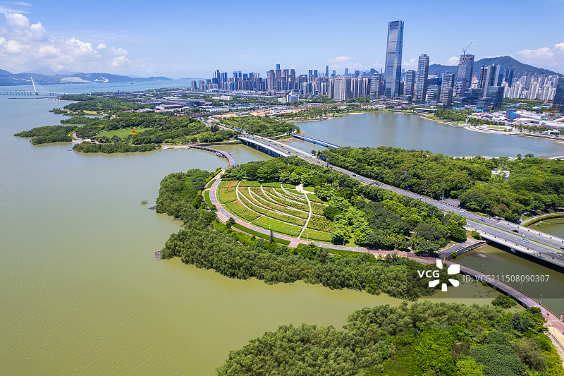 深圳人才公园 深圳湾公园图片素材