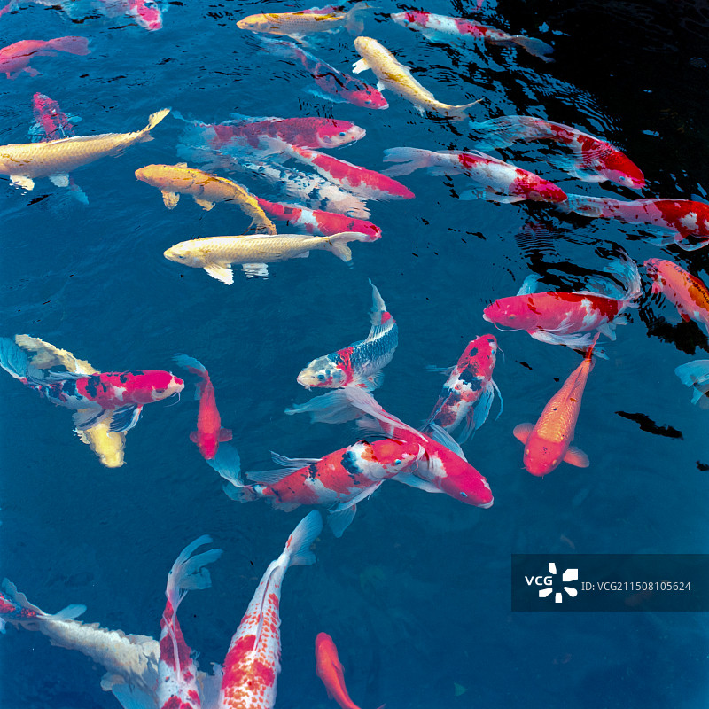 无锡灵山图片素材