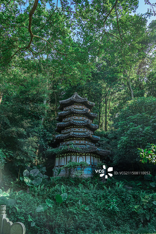 深圳市园博园图片素材