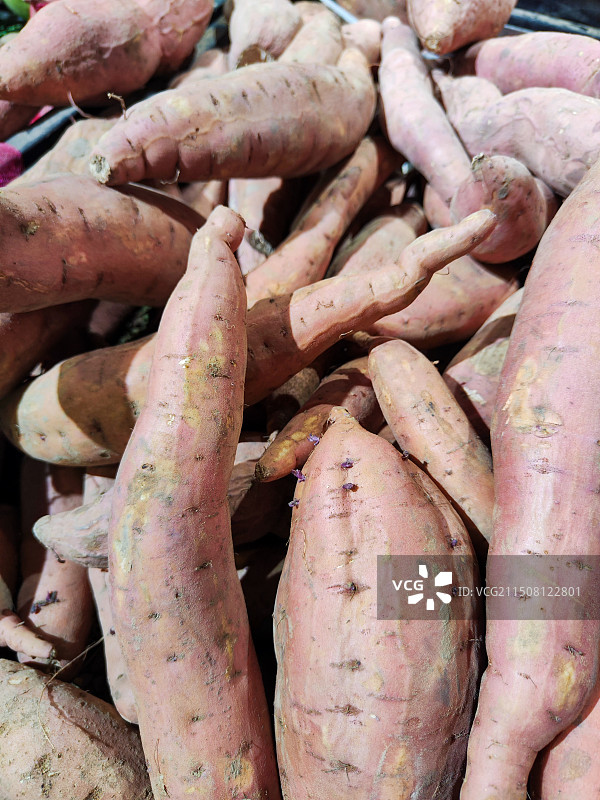 新鲜红薯图片素材