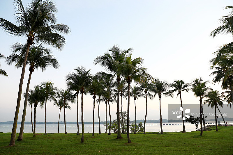 新加坡巴西立公园（Pasir Ris Park）图片素材
