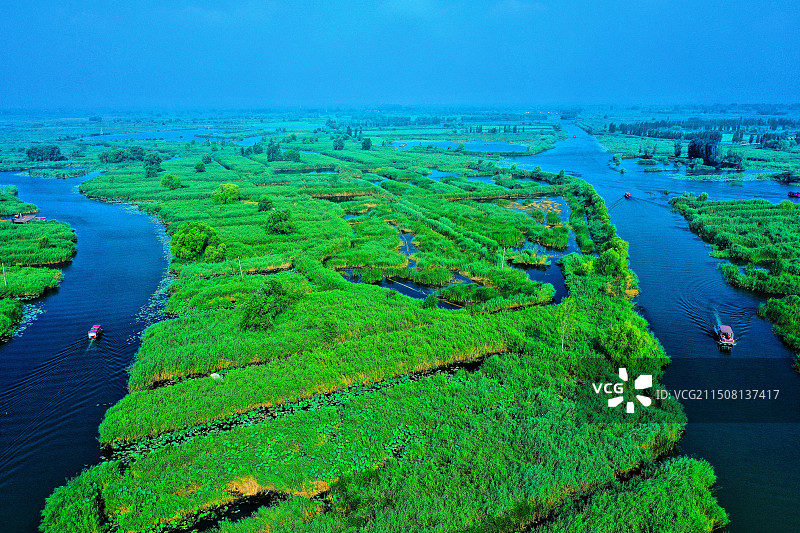 蓝天碧水荷花艳。鸟鸣蛙鼓生态园邵庄子图片素材