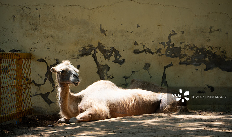 潍坊金宝乐园图片素材