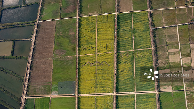 广东省珠海稻田方块田航拍图片素材