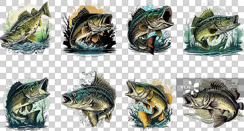 T恤上的卡通大鲈鱼图案图片素材