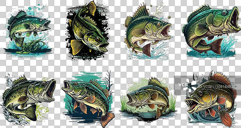 T恤上的卡通大鲈鱼图案图片素材