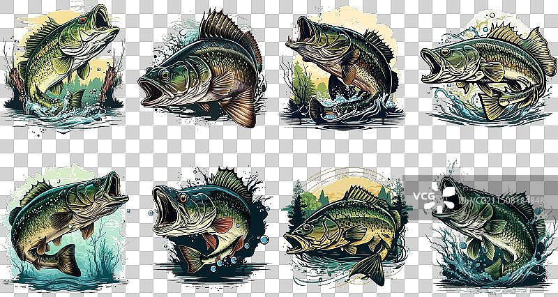 T恤上的卡通大鲈鱼图案图片素材