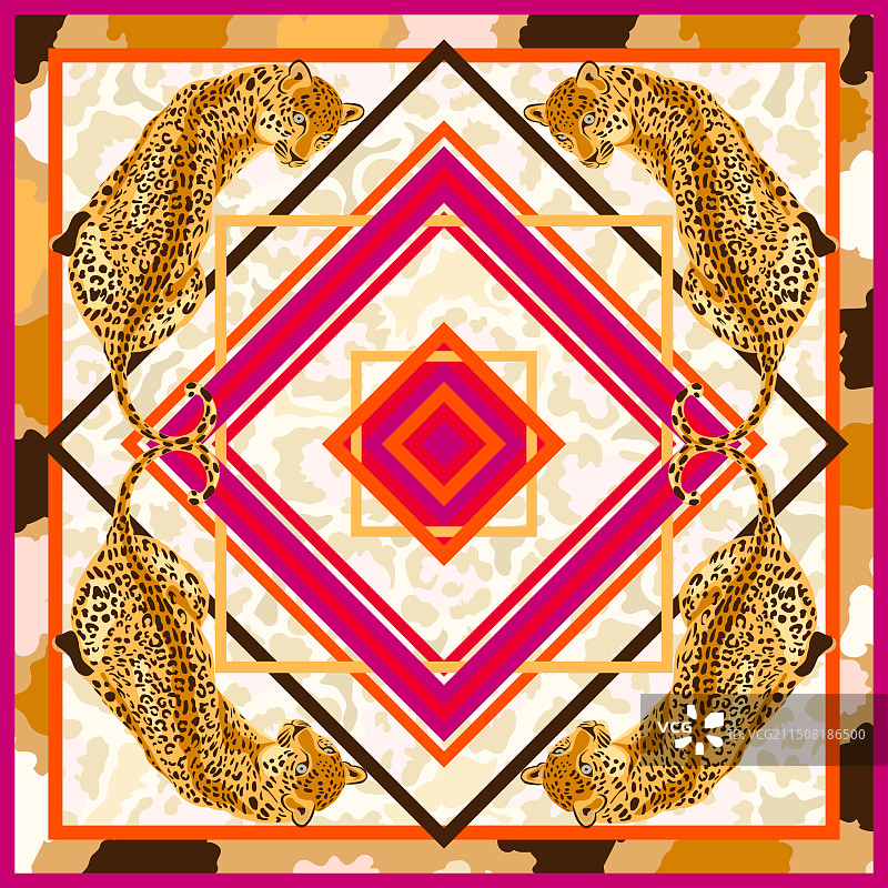 豹子美洲虎野生大型猫科动物方框条纹框架图片素材