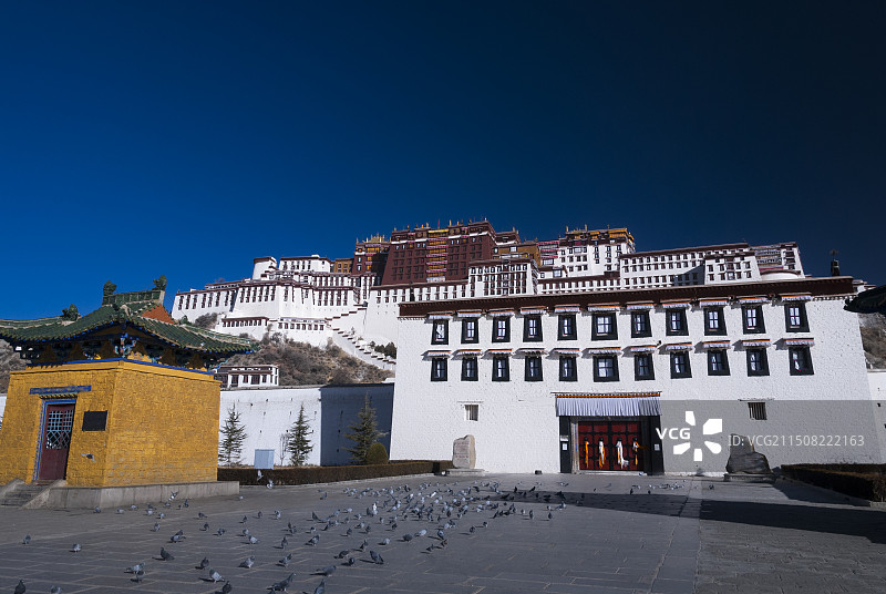 藏历新年，布达拉宫，高原明珠图片素材