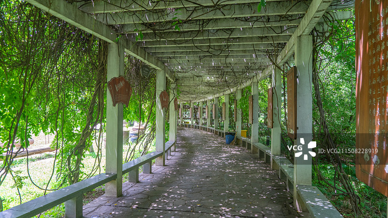 西北农林科技大学博览园图片素材