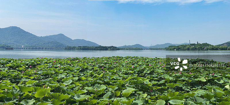 杭州湘湖6.16图片素材