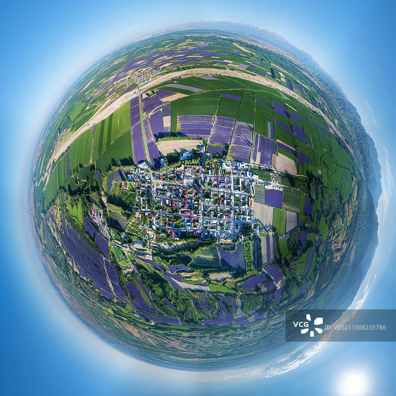 航拍新疆四宫村紫色花海白昼全景图片素材