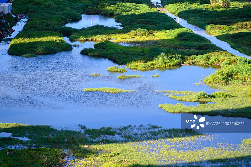 海口市江东新区沿海湿地图片素材