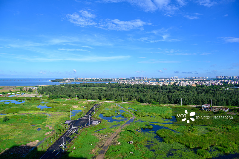 海口市江东新区沿海湿地图片素材