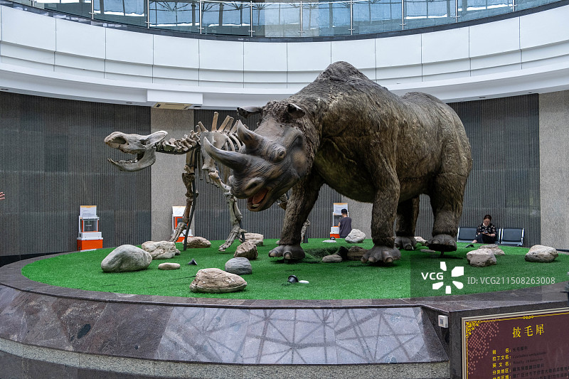 西北农林科技大学博览园图片素材