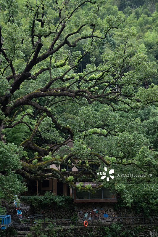 六月浙江杭州桐庐县茆坪村石舍村旅途景色图片素材