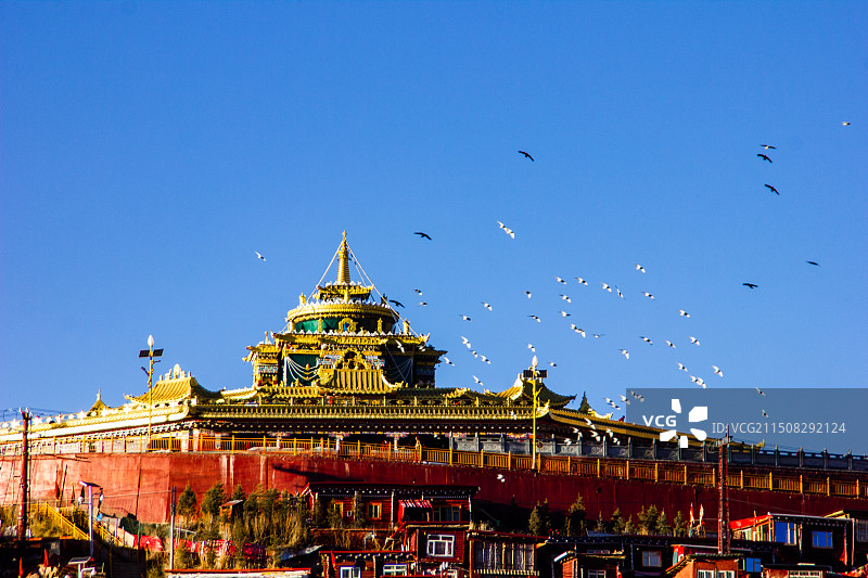 金顶寺庙飞鸽图片素材