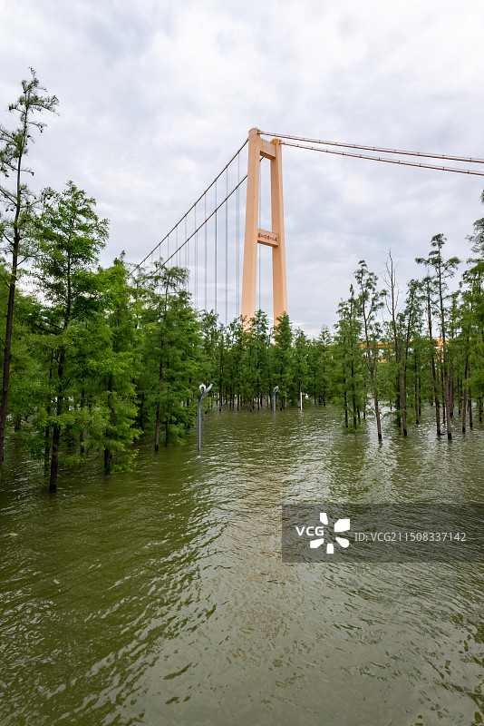 被洪水淹没的洪山江滩公园图片素材