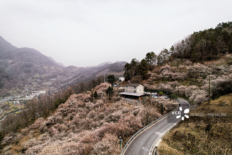 平武印象梅林图片素材