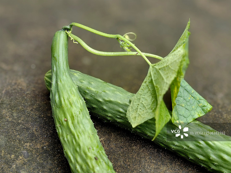 黄瓜图片素材