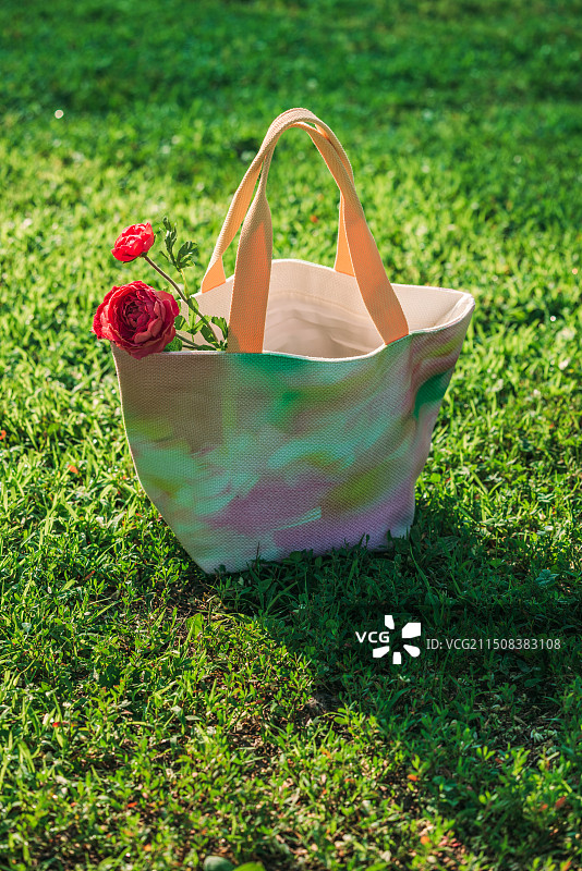 早晨的光图片素材