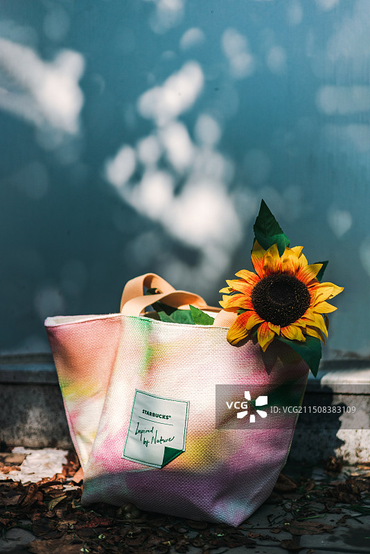 早晨的光图片素材