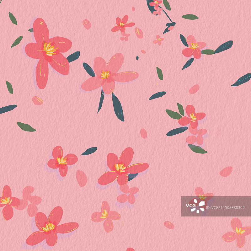 简单的花卉素材图片素材