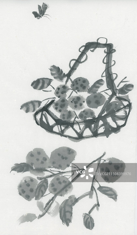 一篮子荔枝新中式风格水墨国画图片素材