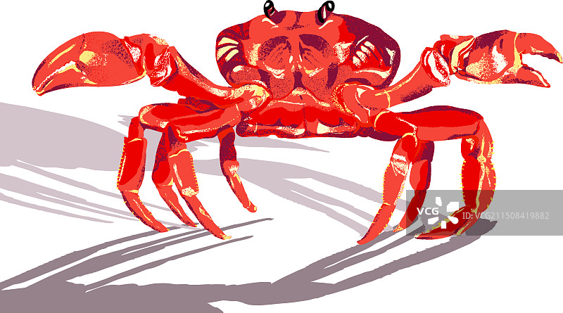 原创手绘-海洋动物-螃蟹图片素材