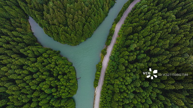 森林氧吧 避暑胜地 湖北利川福宝山凉爽宜人林间公路的高角度视图图片素材