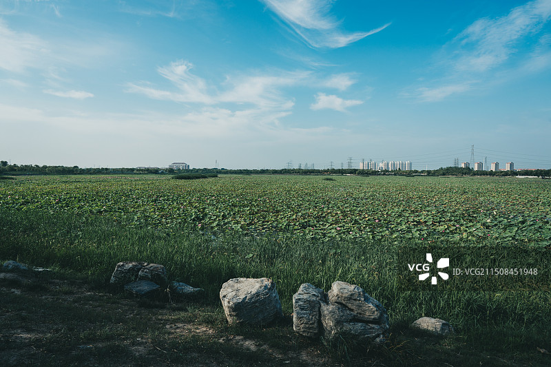 东湖公园图片素材