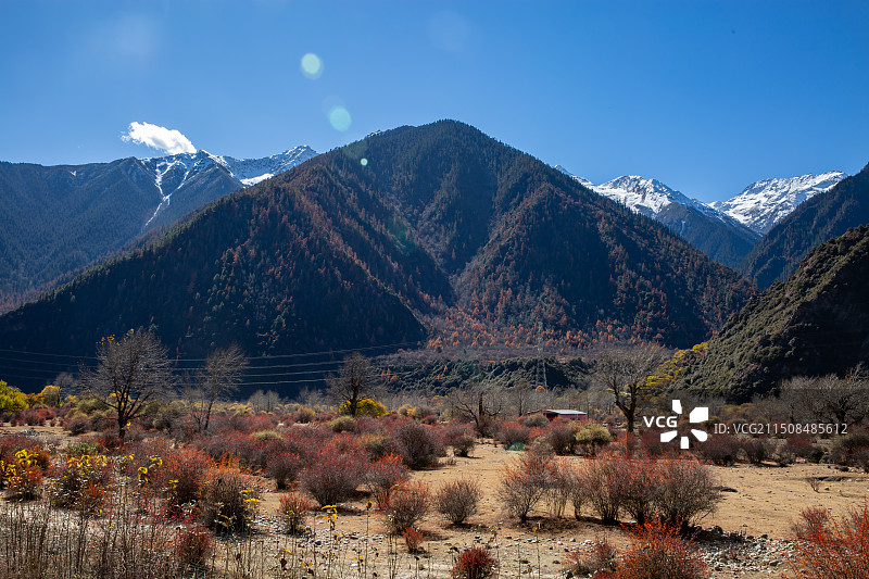 西藏高原秋色图片素材