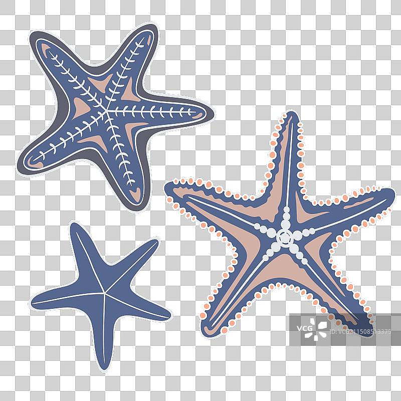 卡通风格海星海洋图标图片素材